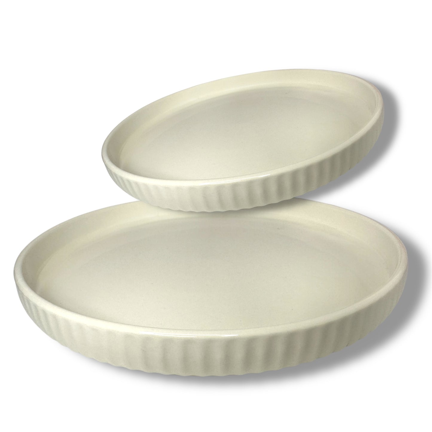 Lots de 2 grande assiettes